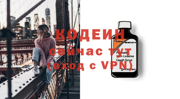 гашик Арсеньев