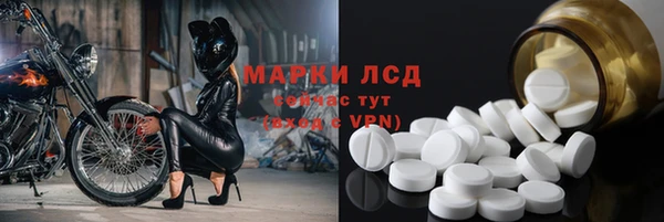 гашик Арсеньев