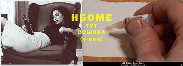 шишки Сатка