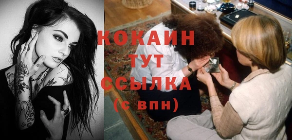гашик Арсеньев